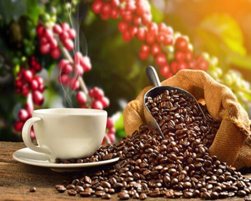 Cofee222
